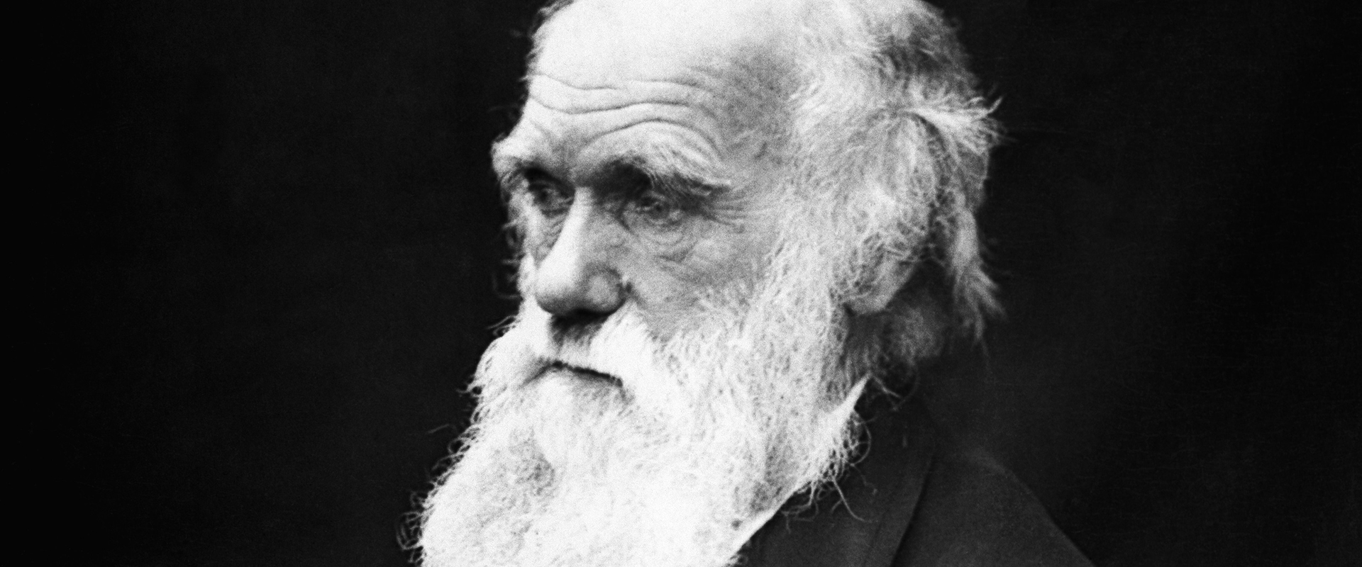 Charles Darwin